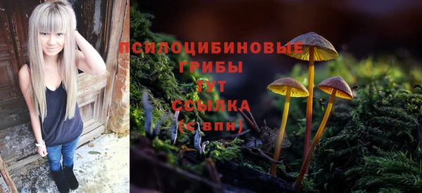 Альфа ПВП Абдулино